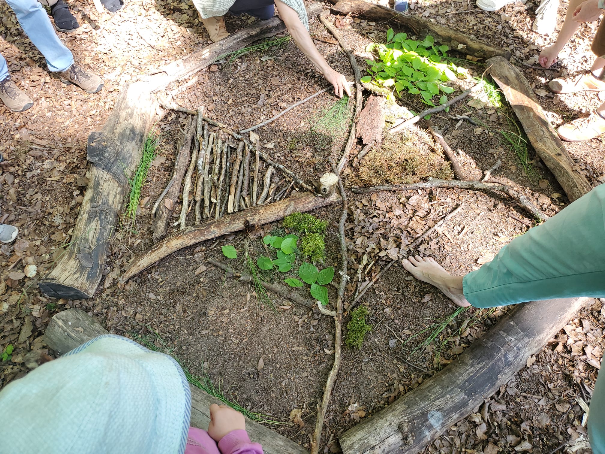 Wald-Mandala - Die Natur im Mittelpunkt